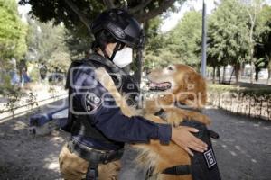 DÍA DE LA MUJER . POLICÍA