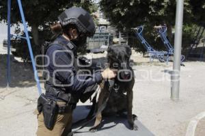 DÍA DE LA MUJER . POLICÍA