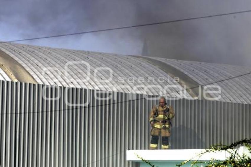 INCENDIO COLONIA SANTA MARÍA