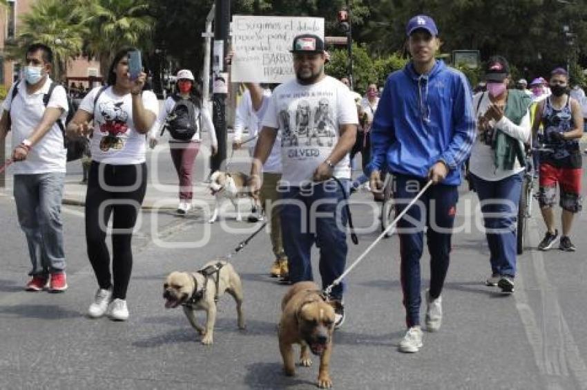 MANIFESTACIÓN . JUSTICIA PARA MONSERRAT