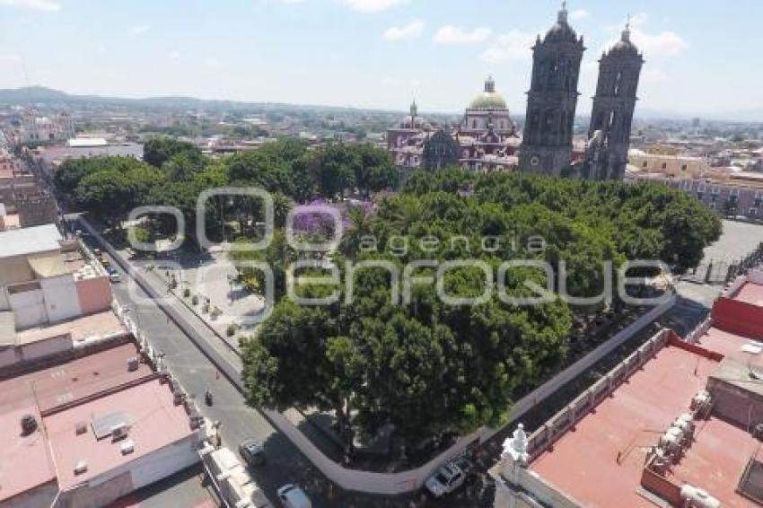 REHABILITACIÓN ZÓCALO