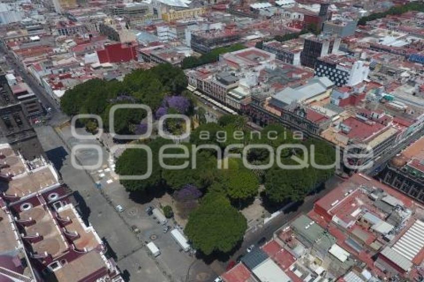 REHABILITACIÓN ZÓCALO