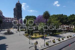 REHABILITACIÓN ZÓCALO