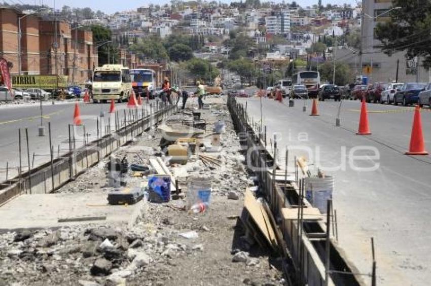 OBRA CAMELLÓN . LA MARGARITA