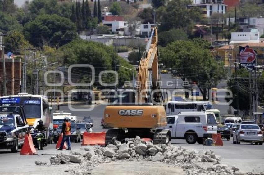 OBRA CAMELLÓN . LA MARGARITA