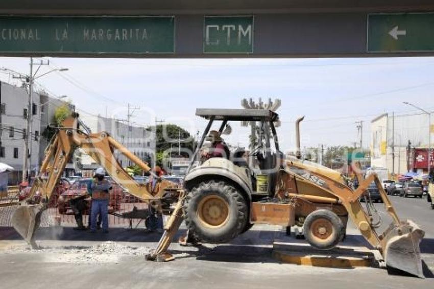 OBRA CAMELLÓN . LA MARGARITA