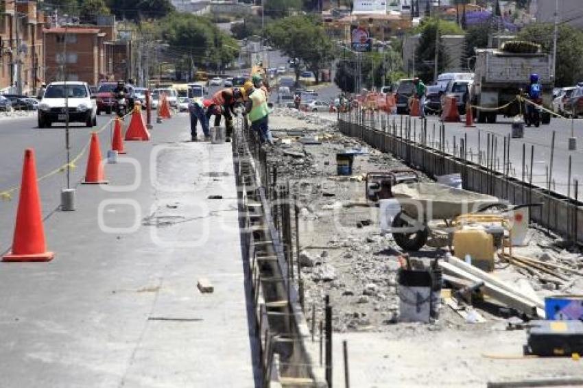 OBRA CAMELLÓN . LA MARGARITA