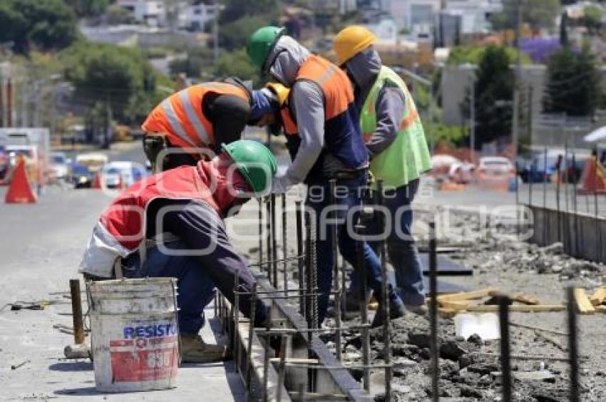 OBRA CAMELLÓN . LA MARGARITA