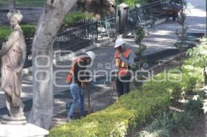 ZÓCALO . TRABAJADORES