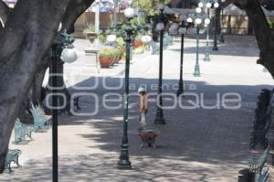 ZÓCALO . TRABAJADORES