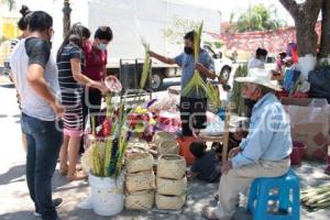 ACATLÁN . VENTA DE PALMAS