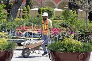 REHABILITACIÓN ZÓCALO