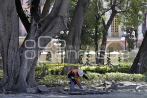 REHABILITACIÓN ZÓCALO