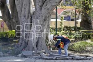 REHABILITACIÓN ZÓCALO