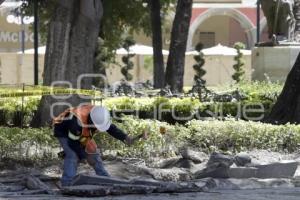 REHABILITACIÓN ZÓCALO