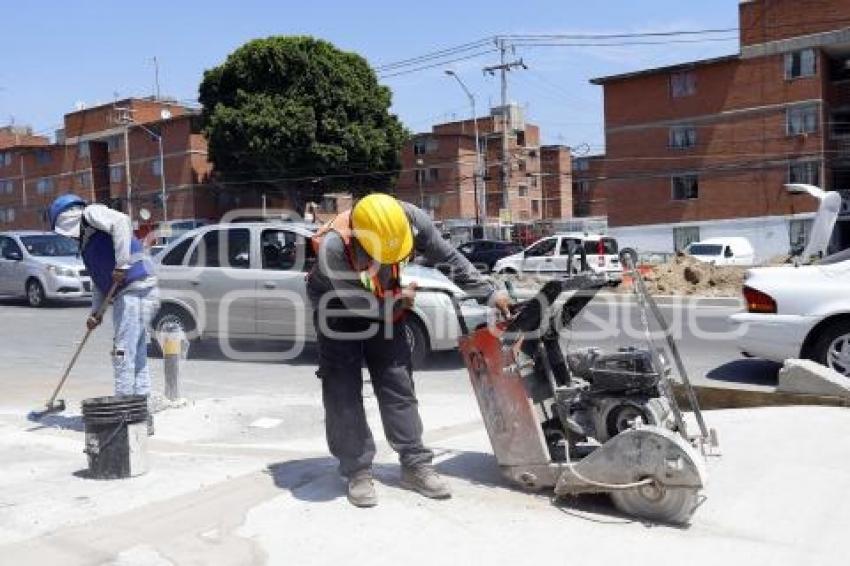 OBRA CAMELLÓN . LA MARGARITA