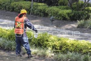 REHABILITACIÓN ZÓCALO