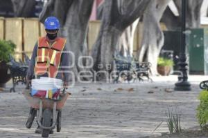 REHABILITACIÓN ZÓCALO