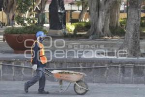 REHABILITACIÓN ZÓCALO