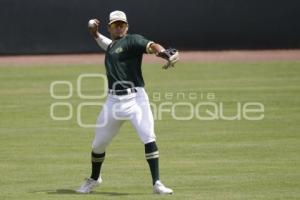 PRETEMPORADA . PERICOS DE PUEBLA