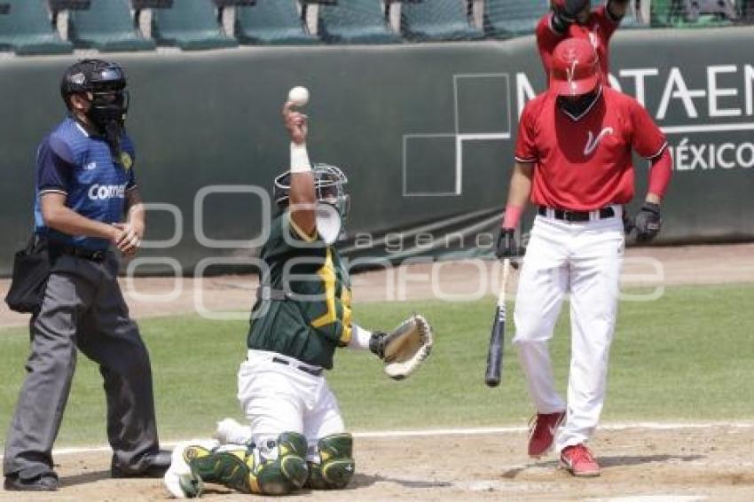 PRETEMPORADA . PERICOS DE PUEBLA