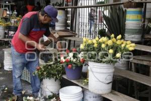 DÍA DE LAS MADRES . FLORES