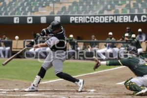 PRETEMPORADA . PERICOS DE PUEBLA