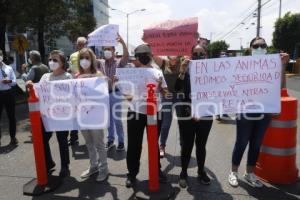 MANIFESTACIÓN LAS ÁNIMAS