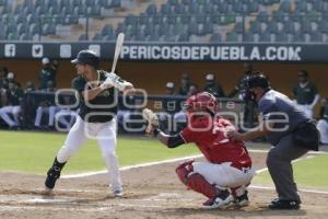 PRETEMPORADA . PERICOS DE PUEBLA 