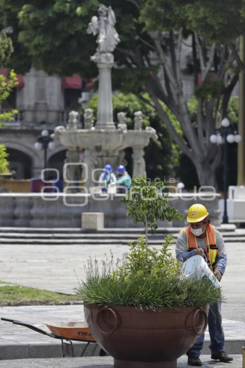 REHABILITACIÓN ZÓCALO