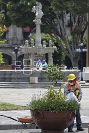 REHABILITACIÓN ZÓCALO