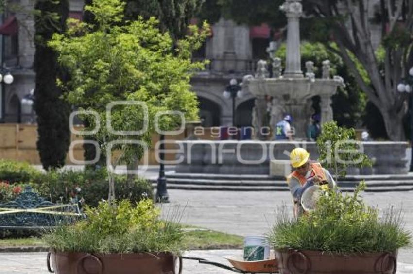 REHABILITACIÓN ZÓCALO