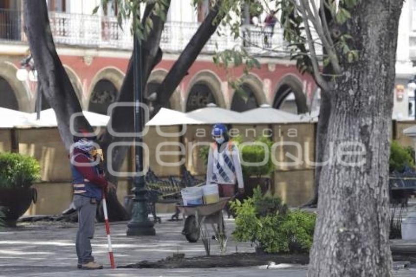 REHABILITACIÓN ZÓCALO