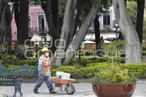 REHABILITACIÓN ZÓCALO