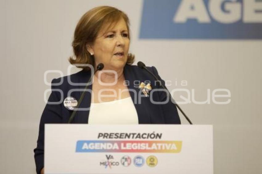 ANA TERESA ARANDA