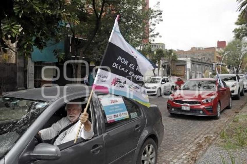 CARAVANA POR EL VOTO