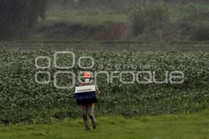 SOCAVÓN . RESCATE DE PERRITOS