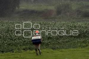 SOCAVÓN . RESCATE DE PERRITOS