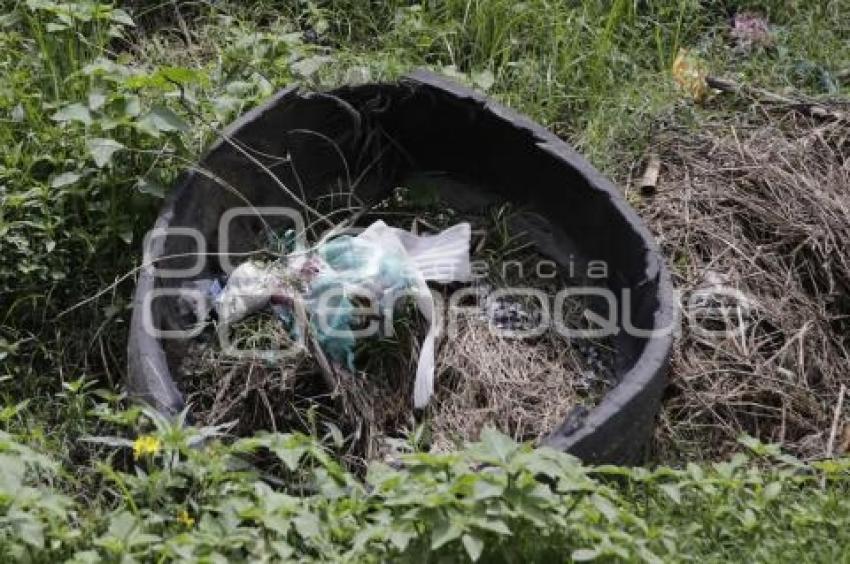 AUTOPISTA . BASURA