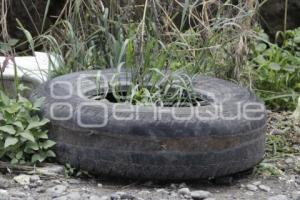 AUTOPISTA . BASURA