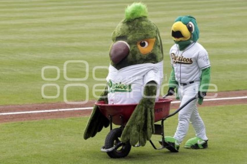 BÉISBOL . PERICOS VS BRAVOS