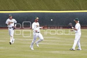 BÉISBOL . PERICOS VS BRAVOS