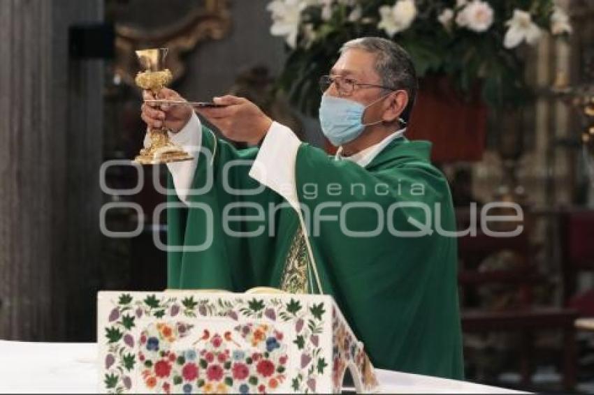 CATEDRAL . MISA DOMINICAL