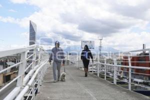 DISTRIBUIDOR VIAL JUÁREZ SERDÁN . CICLOVÍA