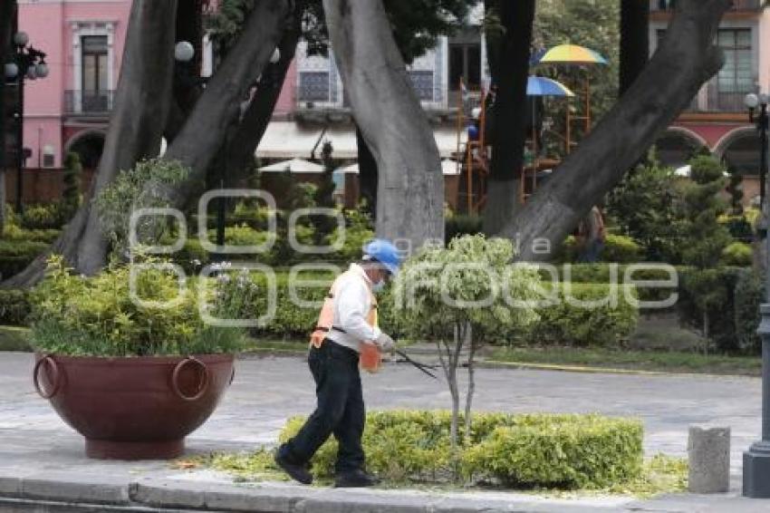 REHABILITACIÓN ZÓCALO 