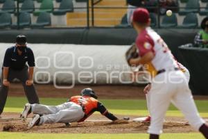 BÉISBOL . PAÍSES BAJOS VS VENEZUELA