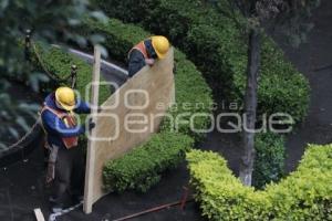 REHABILITACIÓN ZÓCALO