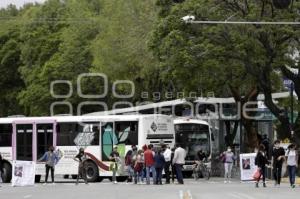 MANIFESTACIÓN . MUJER DESAPARECIDA