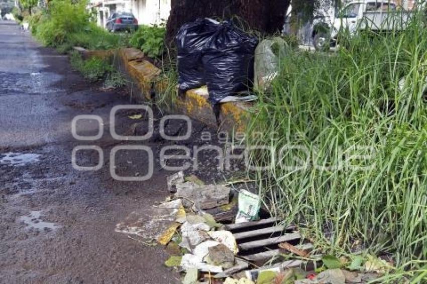 MEDIO AMBIENTE . BASURA