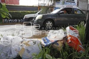 MEDIO AMBIENTE . BASURA